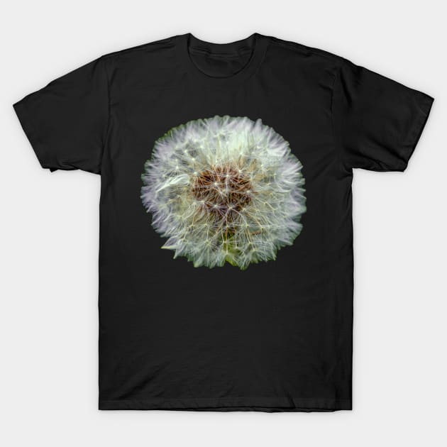 Dandelion Clock T-Shirt by dalyndigaital2@gmail.com